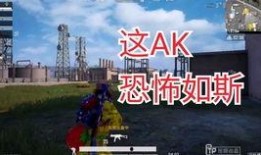 和平精英全网最新爆料,神秘新内容即将上线，玩家期待值飙升！